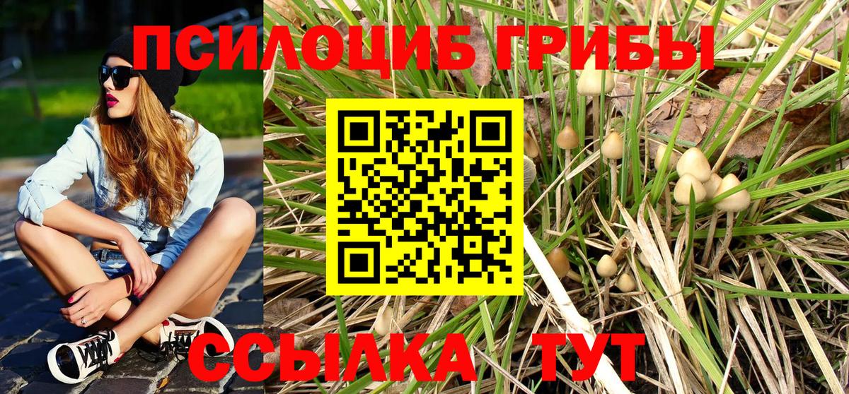 Галлюциногенные грибы Cubensis Ангарск