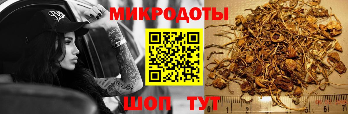 Ангарск  Псилоцибиновые грибы Psilocybe  Вход с VPN 